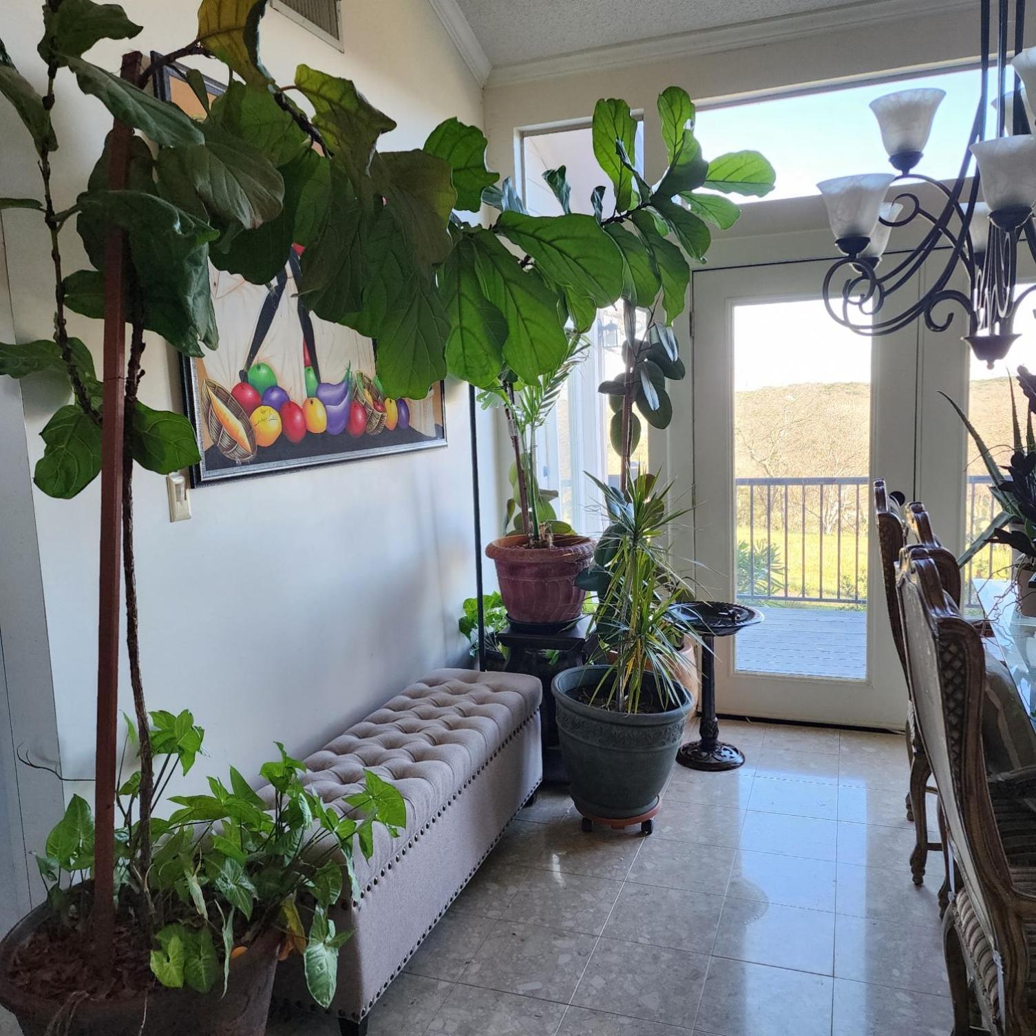 Hilltop Hacienda 圣马科斯 外观 照片